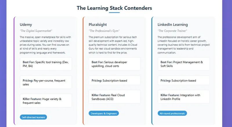 Platforms Overview Infographic Part 1 - Learning platforms comparison for tech professionals
